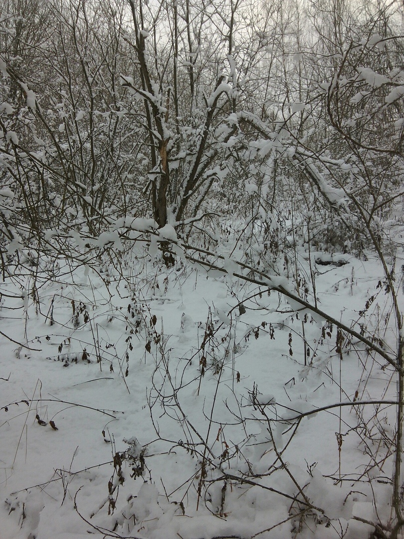 речкат23