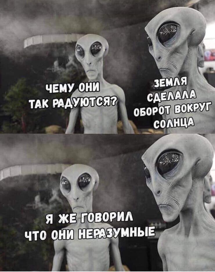 24780990.jpg