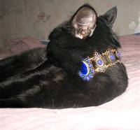 VFL.RU - ваш фотохостинг