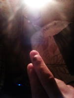 VFL.RU - ваш фотохостинг