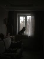 VFL.RU - ваш фотохостинг