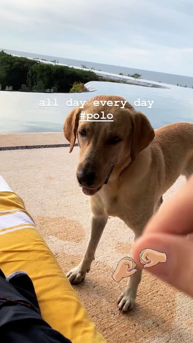 Bill's IG-Story #4 (03.01.19, Quinto Sol, Costa Careyes, Mexico)