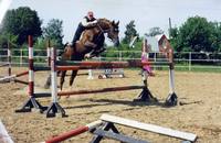 img431