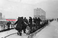12 Озеленение территории аэропорта 1962 год