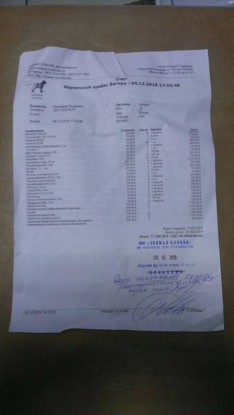 Багира чек 1а