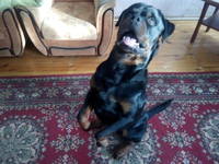 VFL.RU - ваш фотохостинг