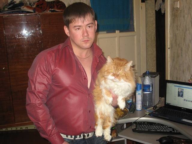 Кот Бакса