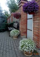 VFL.RU - ваш фотохостинг