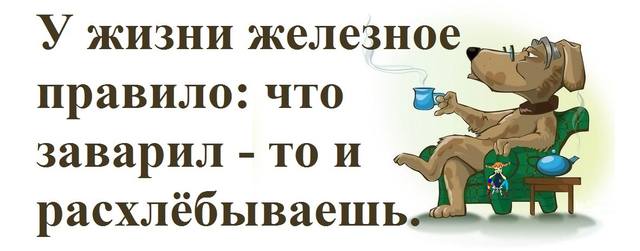 Сам кашу заварил сам и расхлебывай что это значит