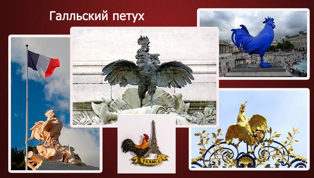 http://images.vfl.ru/ii/1547895797/60c1c886/25016878_m.jpg