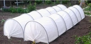 парник из агроволокна2-fill-310x150