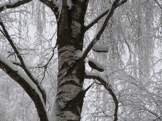 VFL.RU - ваш фотохостинг