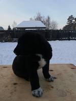 VFL.RU - ваш фотохостинг