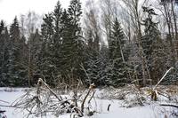 VFL.RU - ваш фотохостинг