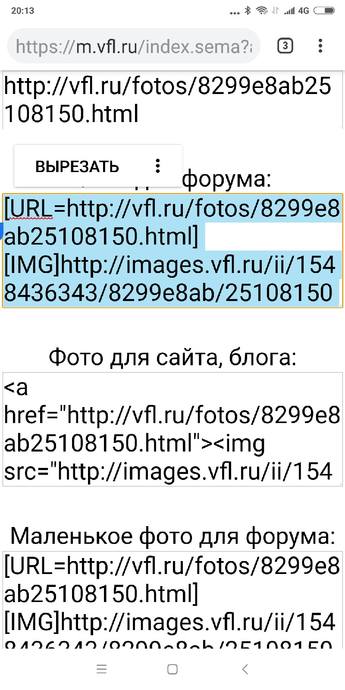 VFL.RU - ваш фотохостинг