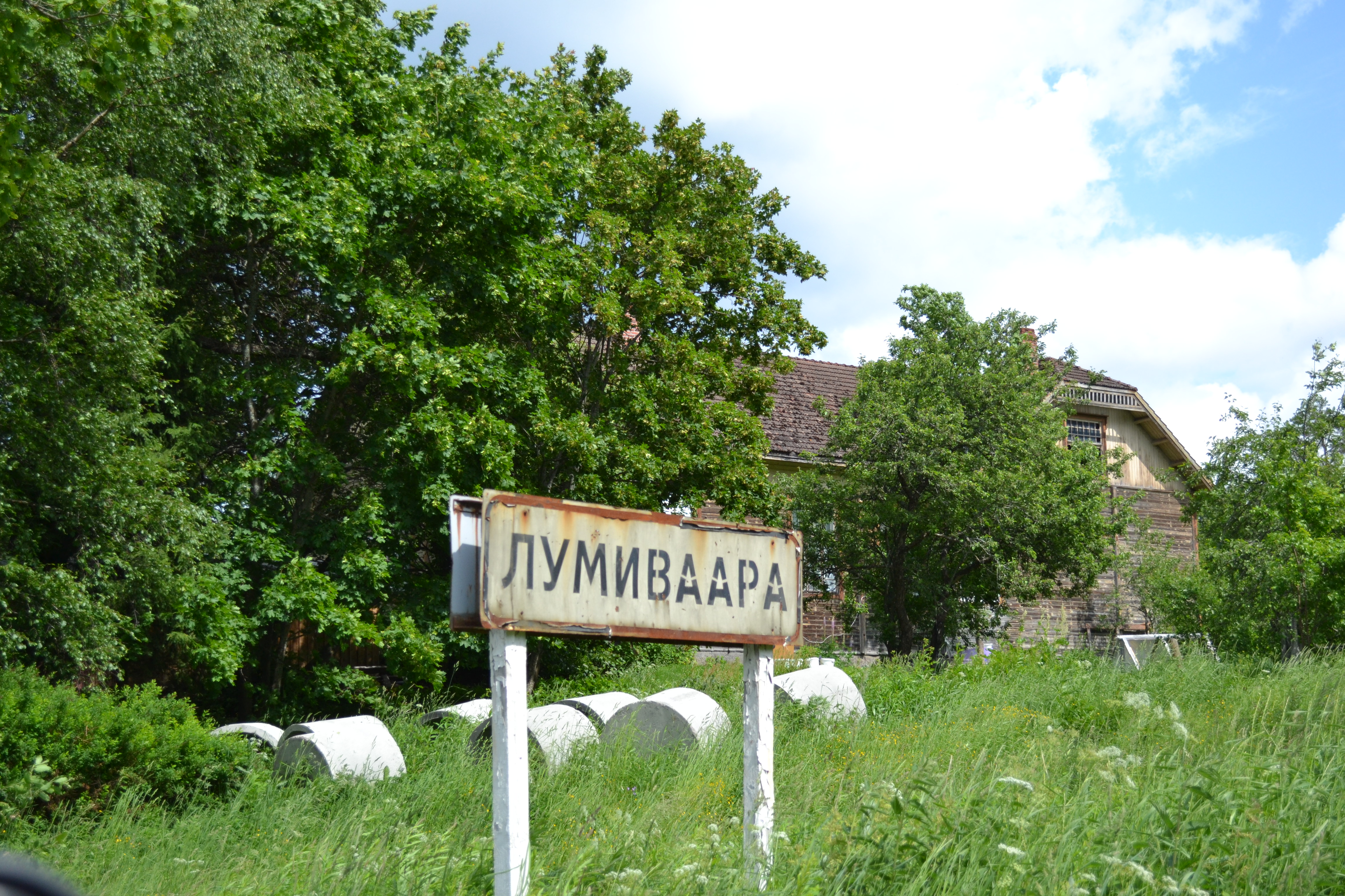 Изображение 1566