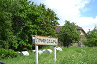 Изображение 1566