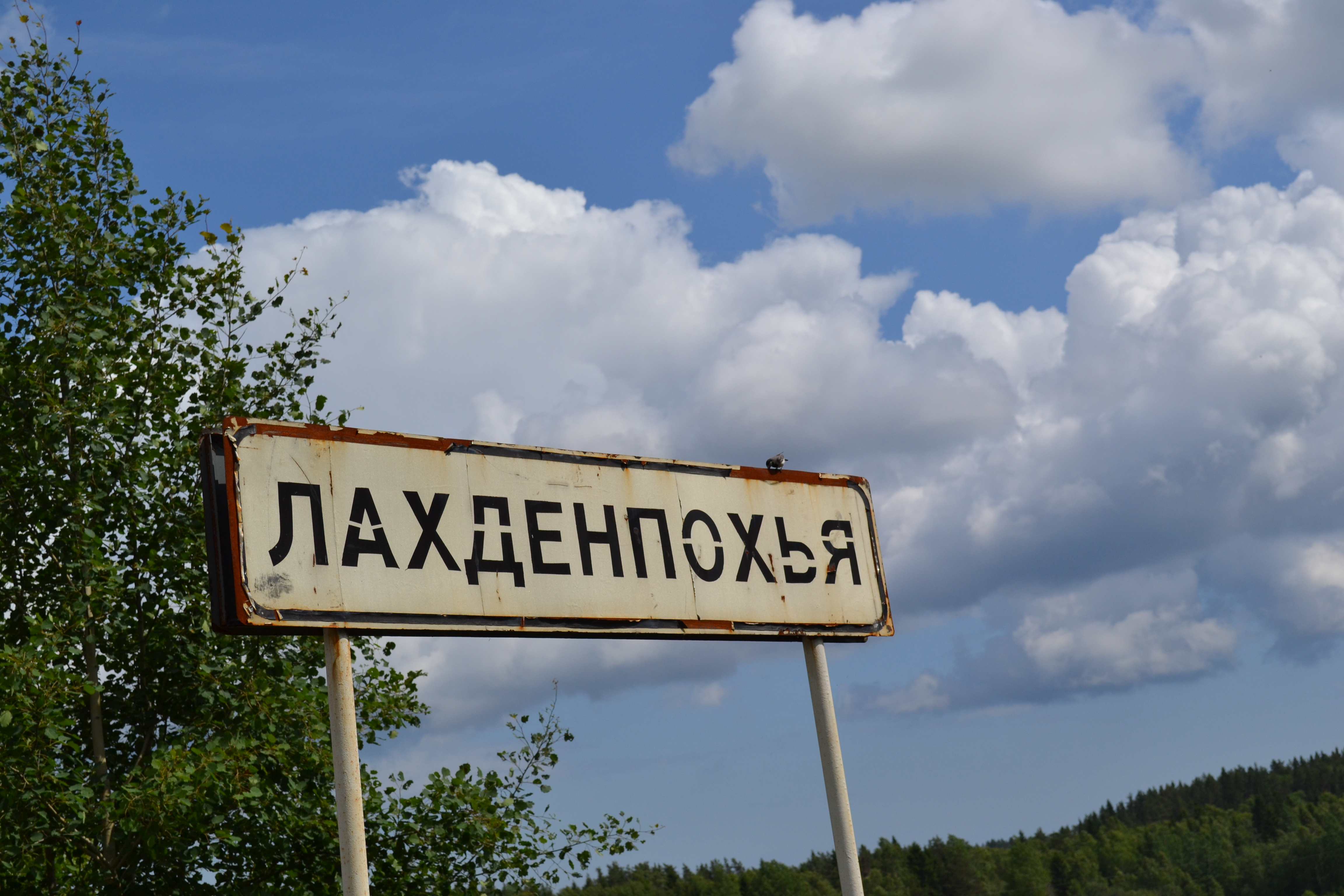 Изображение 1569
