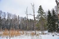 VFL.RU - ваш фотохостинг