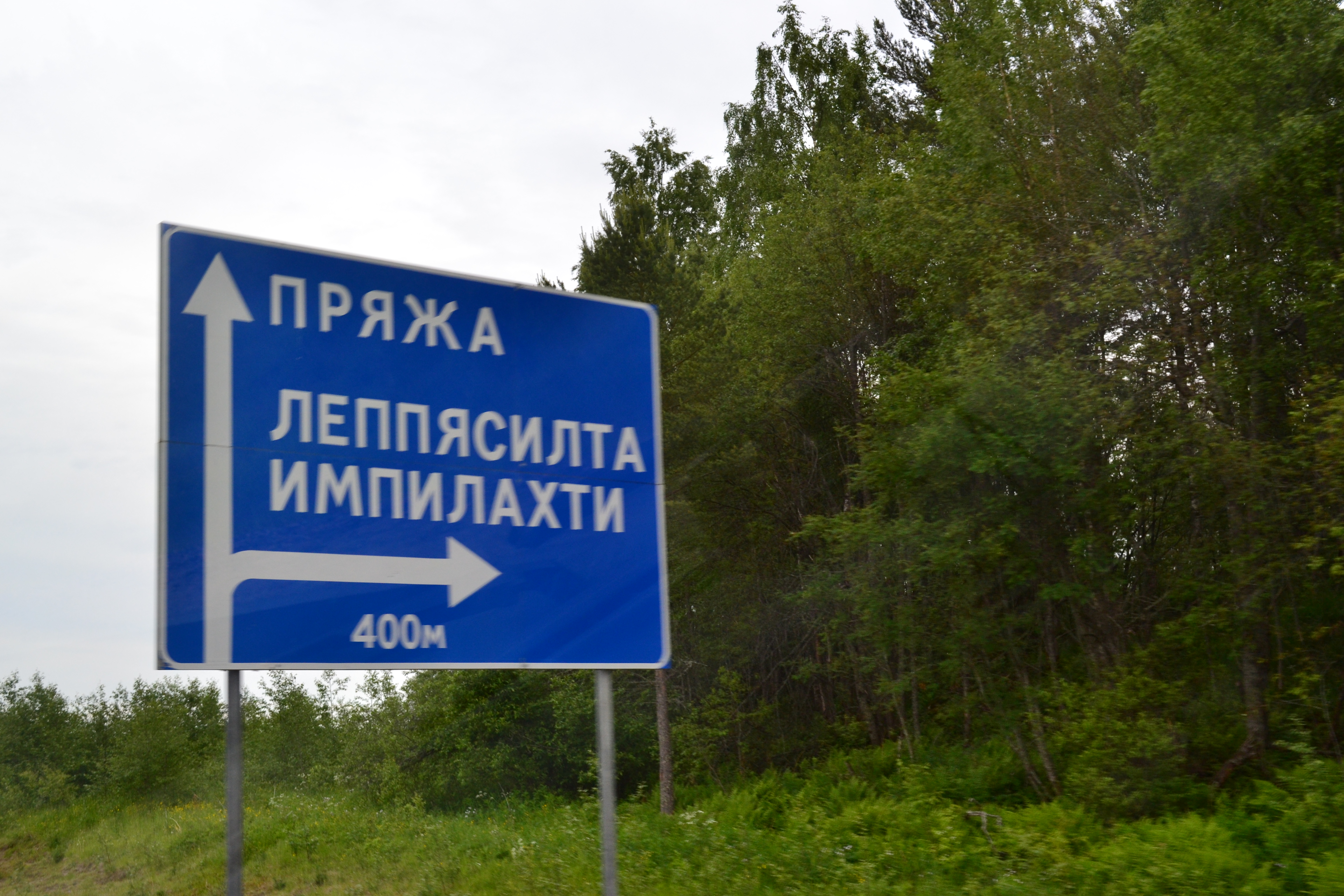 Изображение 2337