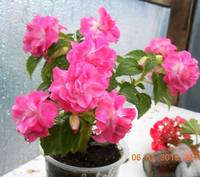 VFL.RU - ваш фотохостинг