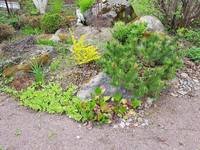 VFL.RU - ваш фотохостинг