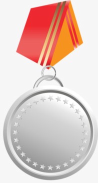 серебряная медаль