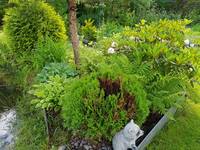 VFL.RU - ваш фотохостинг