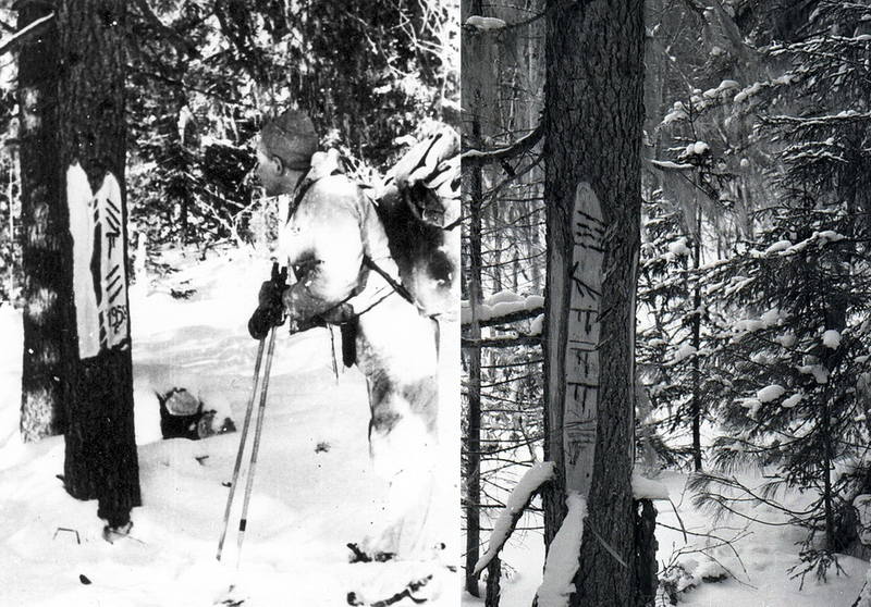 зарубки местных VFL.RU - ваш фотохостинг
