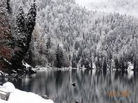 VFL.RU - ваш фотохостинг