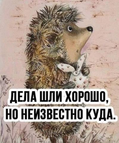lu pN2JWiEo