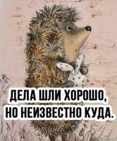 lu pN2JWiEo
