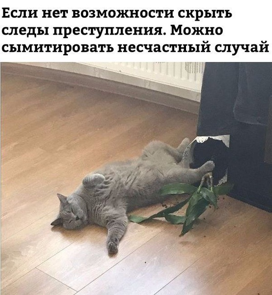 dkMlveeF7sk