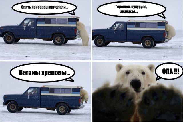 VFL.RU - ваш фотохостинг
