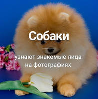 кредит