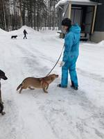 VFL.RU - ваш фотохостинг