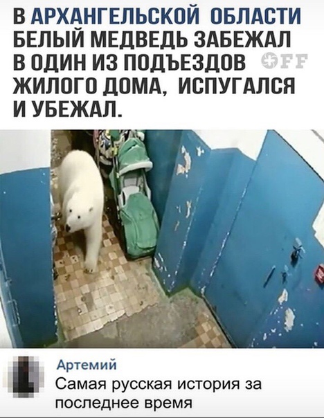 ZN7kjIBbags