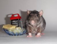 12 Как это нельзя есть!!