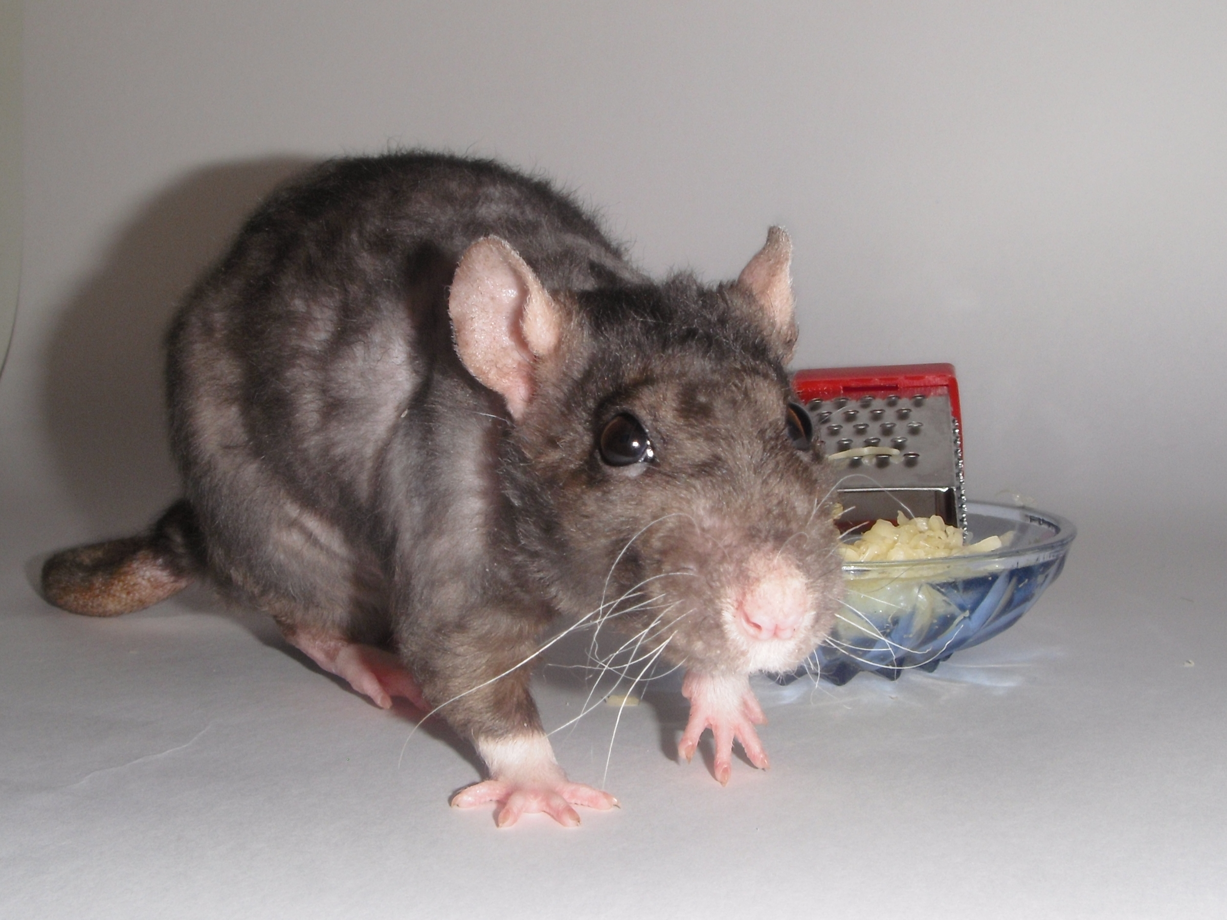 15 Ну попроси меня еще о помощи!!!