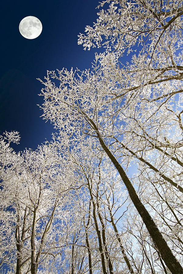 enchantment-of-the-winter-moon-susan-stanton