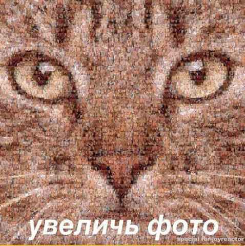 VFL.RU - ваш фотохостинг