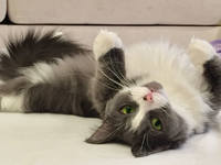 IMG E7440+