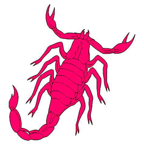Scorpion 17. Скорпион. Скорпион знак. Скорпион на прозрачном фоне. Скорпион картинка на белом фоне.