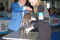 VFL.RU - ваш фотохостинг