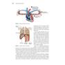 sanet.cd.Running Anatomy - Joe Puleo 21