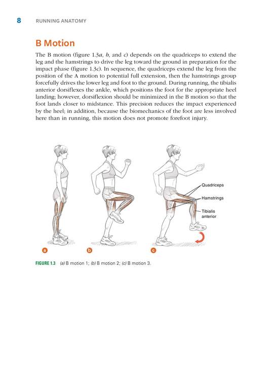 sanet.cd.Running Anatomy - Joe Puleo 17