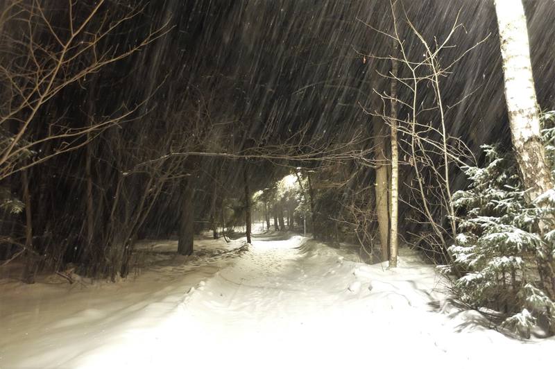 Впр после ночной вьюги. Хлебниковский лесопарк зимой. Ржев зимой ночью лес. Вьюга в лесу ночью.