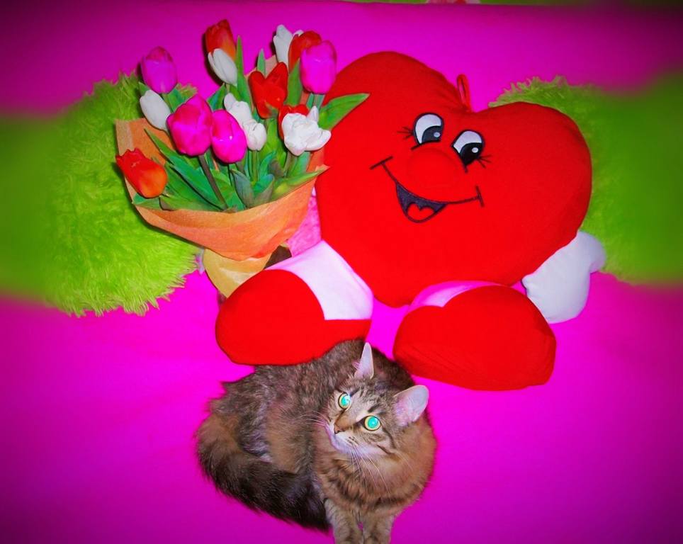 Надя Духанина (6)