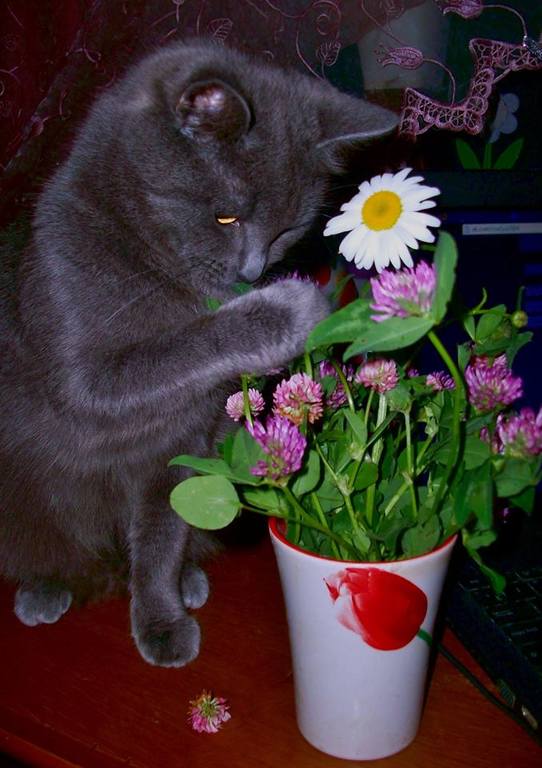 Надя Духанина (30)