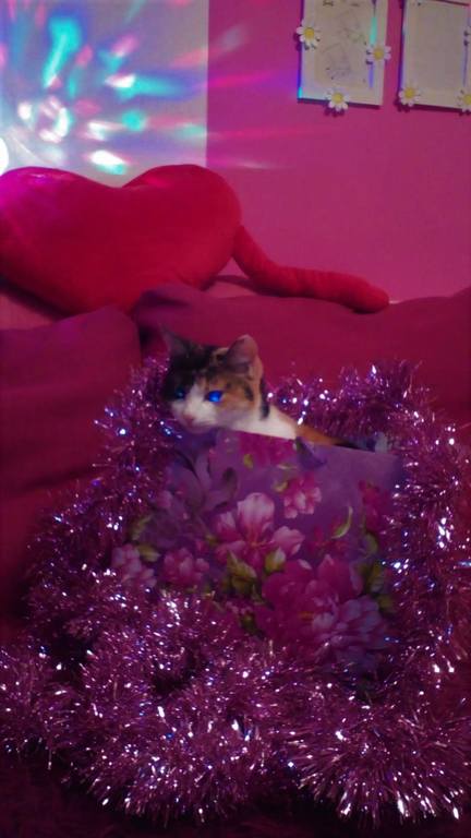 Надя Духанина (83)